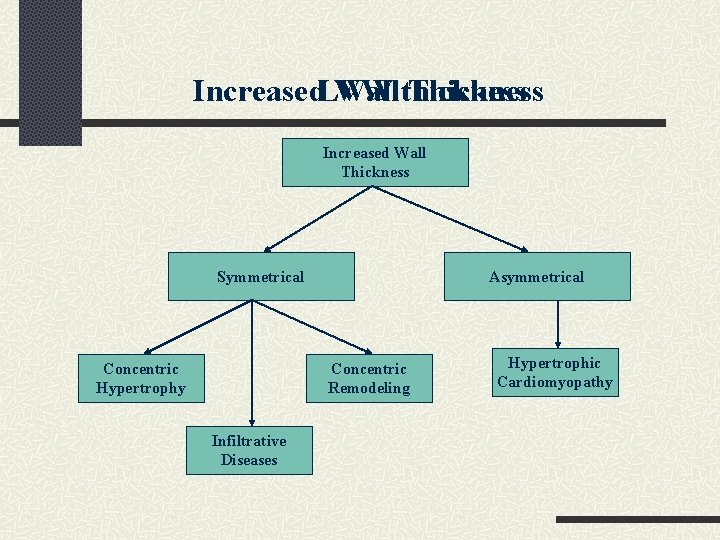 Increase LVW thickness Increased Wall Thickness Symmetrical Concentric Hypertrophy Asymmetrical Concentric Remodeling Infiltrative Diseases