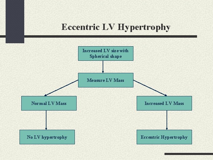 Eccentric LV Hypertrophy Increased LV size with Spherical shape Measure LV Mass Normal LV