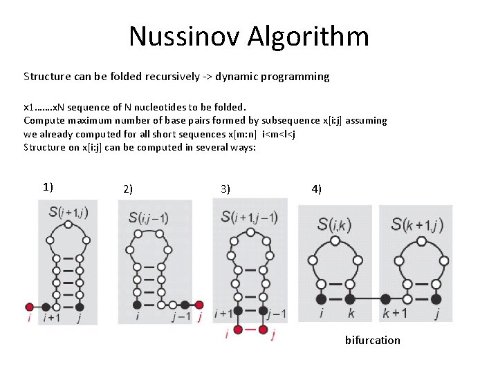 Nussinov Algorithm Structure can be folded recursively -> dynamic programming x 1……. x. N