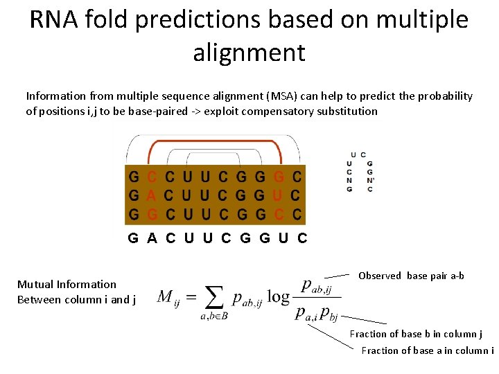 RNA fold predictions based on multiple alignment Information from multiple sequence alignment (MSA) can