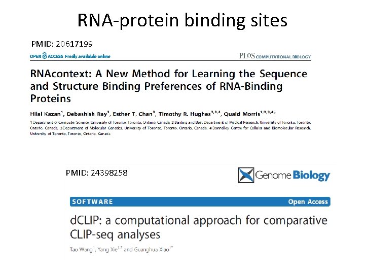 RNA-protein binding sites PMID: 20617199 PMID: 24398258 