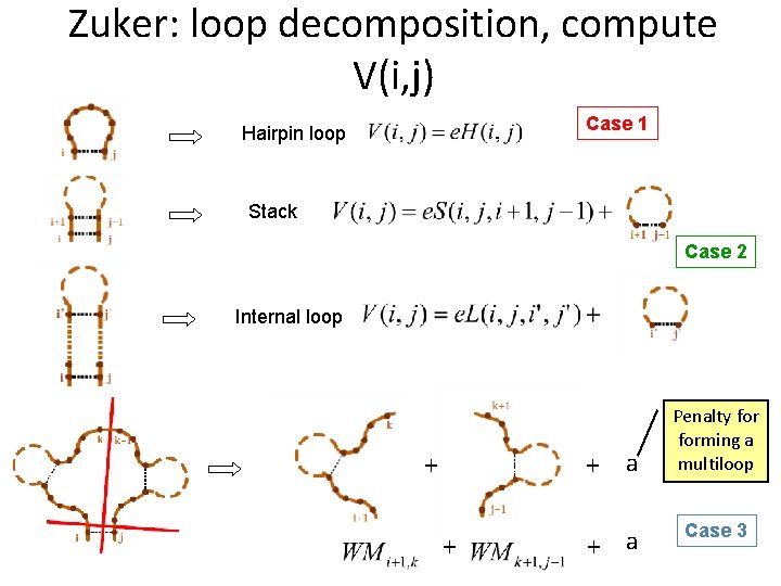 Zuker: loop decomposition, compute V(i, j) Case 1 Hairpin loop Stack Case 2 Internal