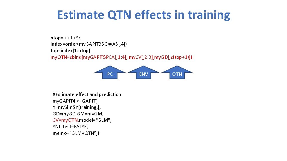 Estimate QTN effects in training ntop= nqtn*2 index=order(my. GAPIT 3$GWAS[, 4]) top=index[1: ntop] my.