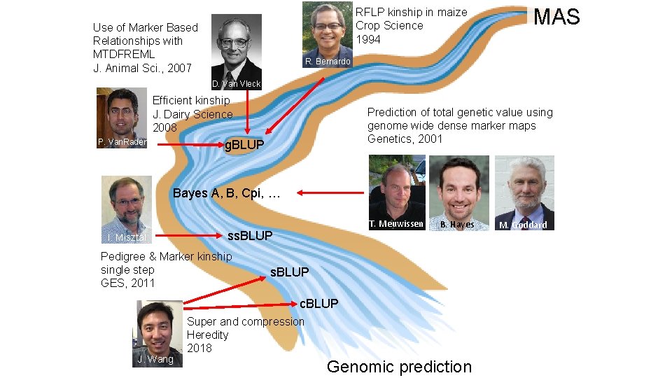 RFLP kinship in maize Crop Science 1994 Use of Marker Based Relationships with MTDFREML