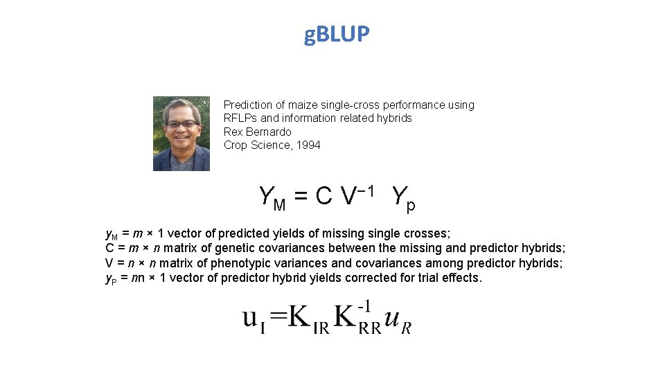 g. BLUP Prediction of maize single-cross performance using RFLPs and information related hybrids Rex