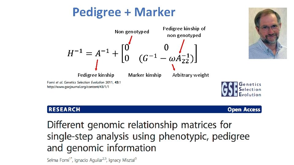 Pedigree + Marker Non genotyped Pedigree kinship Marker kinship Pedigree kinship of non genotyped