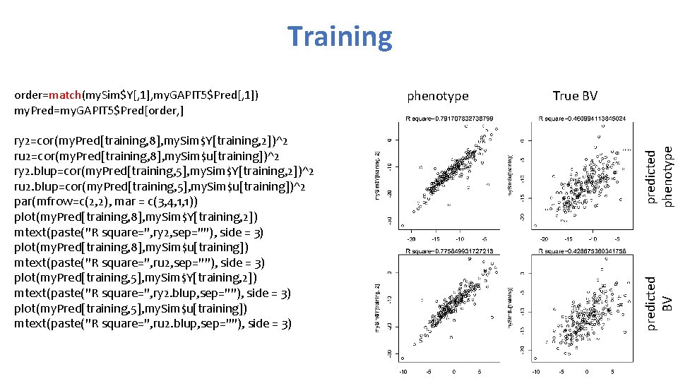 Training True BV predicted phenotype ry 2=cor(my. Pred[training, 8], my. Sim$Y[training, 2])^2 ru 2=cor(my.