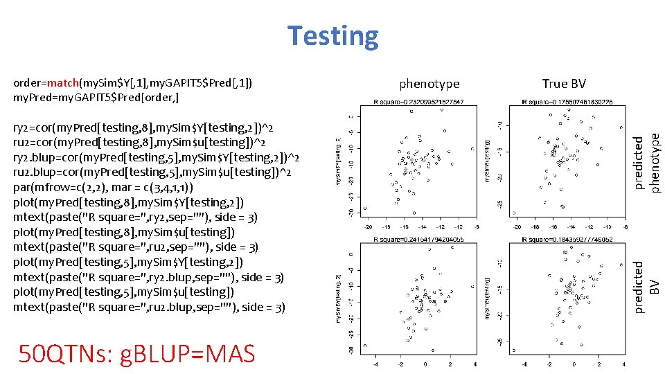 Testing 50 QTNs: g. BLUP=MAS True BV predicted phenotype ry 2=cor(my. Pred[testing, 8], my.