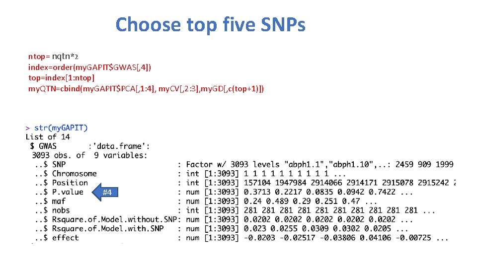 Choose top five SNPs ntop= nqtn*2 index=order(my. GAPIT$GWAS[, 4]) top=index[1: ntop] my. QTN=cbind(my. GAPIT$PCA[,