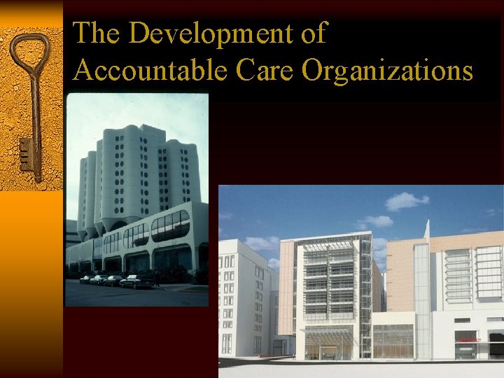 The Development of Accountable Care Organizations 