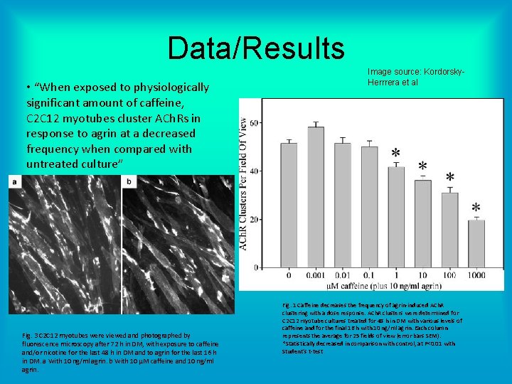 Data/Results • “When exposed to physiologically significant amount of caffeine, C 2 C 12