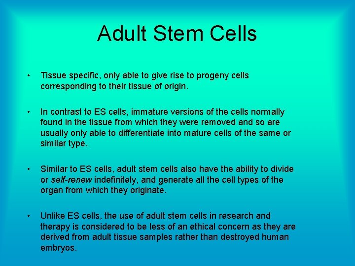 Adult Stem Cells • Tissue specific, only able to give rise to progeny cells