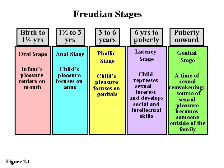 Freudian Stages Birth to 1½ yrs 1½ to 3 yrs 3 to 6 years