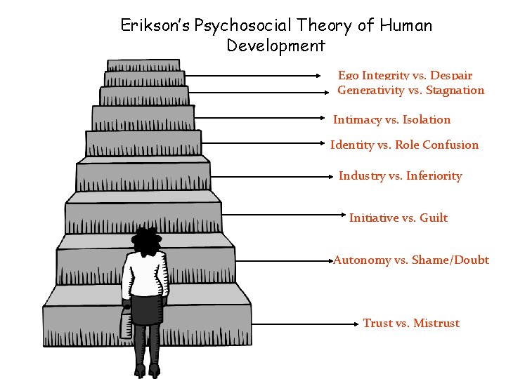 Erikson’s Psychosocial Theory of Human Development Ego Integrity vs. Despair Generativity vs. Stagnation Intimacy