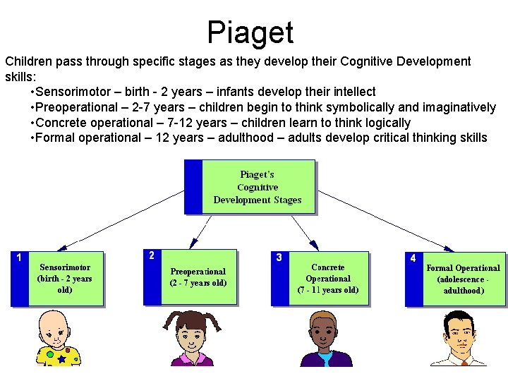 Piaget Children pass through specific stages as they develop their Cognitive Development skills: •