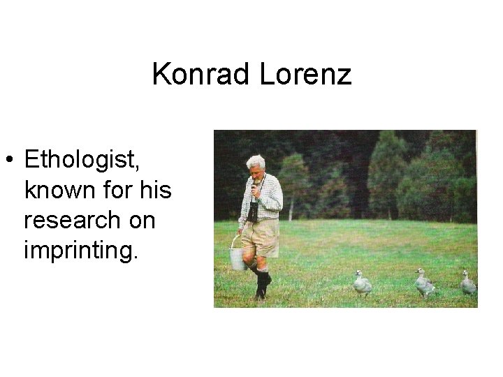Konrad Lorenz • Ethologist, known for his research on imprinting. 