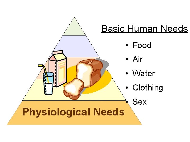 Basic Human Needs • Food • Air • Water • Clothing Physiological Needs •