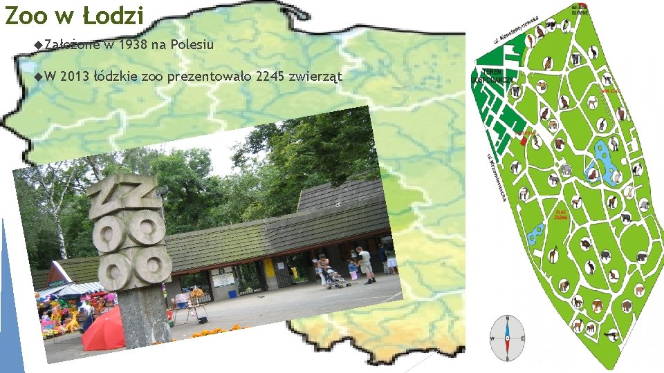 Zoo w Łodzi Założone W w 1938 na Polesiu 2013 łódzkie zoo prezentowało 2245