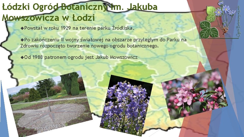 Łódzki Ogród Botaniczny im. Jakuba Mowszowicza w Łodzi Powstał w roku 1929 na terenie