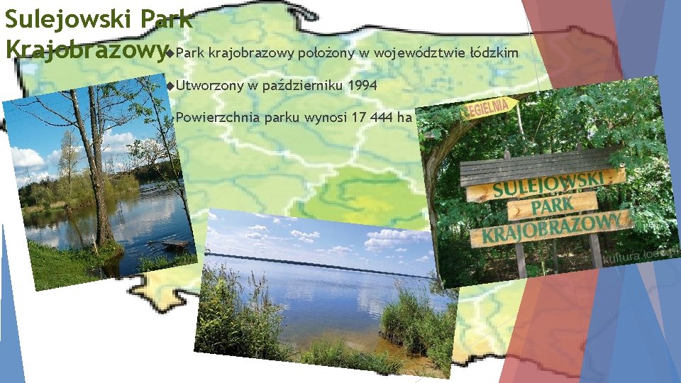Sulejowski Park Krajobrazowy Park krajobrazowy położony w województwie łódzkim Utworzony w październiku 1994 Powierzchnia