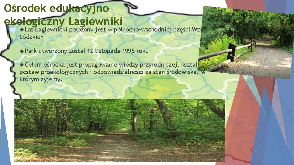 Ośrodek edukacyjno ekologiczny Łagiewniki Las Łagiewnicki położony jest w północno-wschodniej części Wzniesień Łódzkich Park