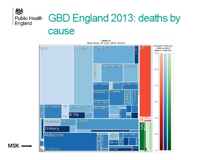 GBD England 2013: deaths by cause MSK 