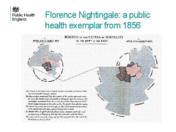 Florence Nightingale: a public health exemplar from 1856 