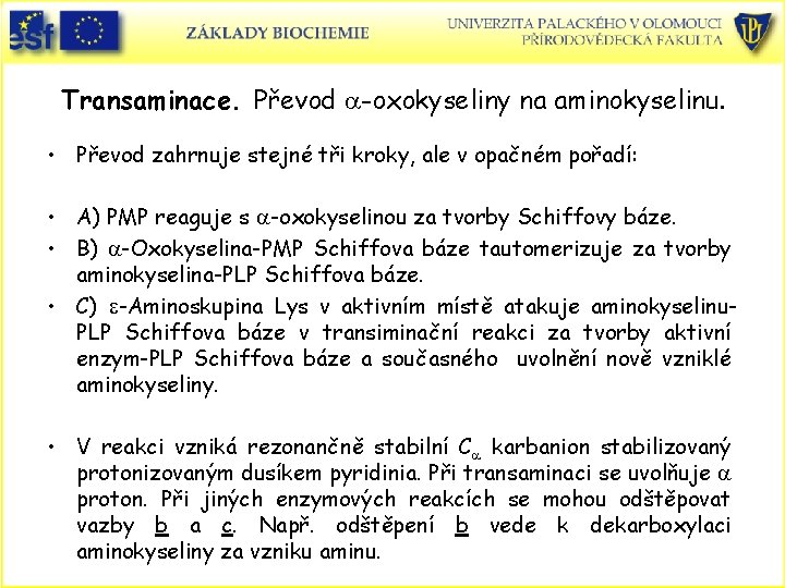 Transaminace. Převod a-oxokyseliny na aminokyselinu. • Převod zahrnuje stejné tři kroky, ale v opačném