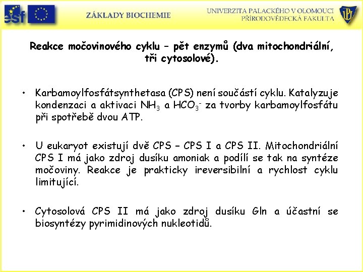 Reakce močovinového cyklu – pět enzymů (dva mitochondriální, tři cytosolové). • Karbamoylfosfátsynthetasa (CPS) není