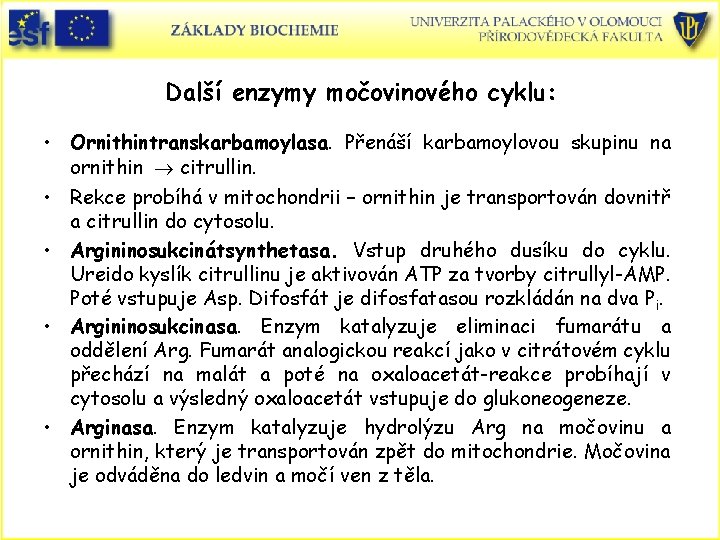 Další enzymy močovinového cyklu: • Ornithintranskarbamoylasa. Přenáší karbamoylovou skupinu na ornithin citrullin. • Rekce