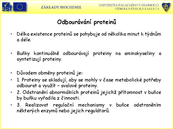 Odbourávání proteinů • Délka existence proteinů se pohybuje od několika minut k týdnům a