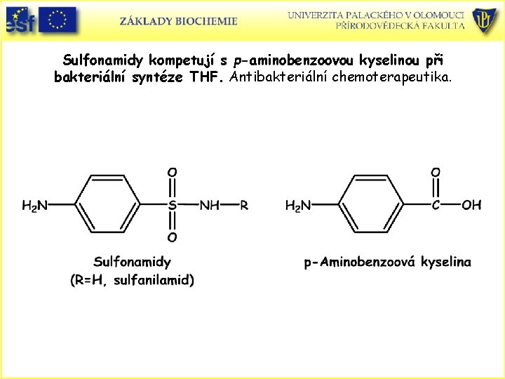 Sulfonamidy kompetují s p-aminobenzoovou kyselinou při bakteriální syntéze THF. Antibakteriální chemoterapeutika. 