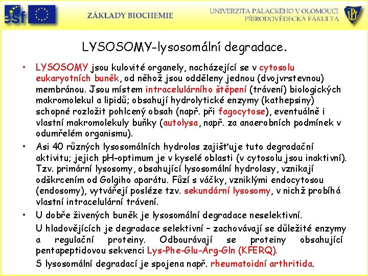 LYSOSOMY-lysosomální degradace. • • • LYSOSOMY jsou kulovité organely, nacházející se v cytosolu eukaryotních