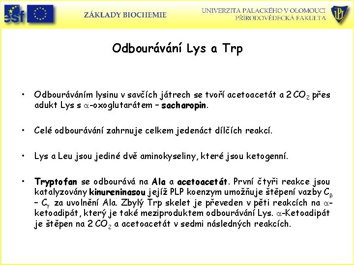 Odbourávání Lys a Trp • Odbouráváním lysinu v savčích játrech se tvoří acetoacetát a