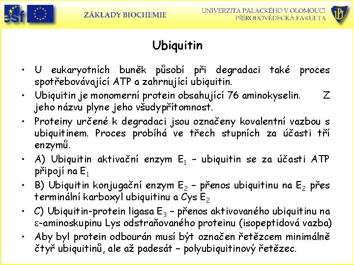 Ubiquitin • U eukaryotních buněk působí při degradaci také proces spotřebovávající ATP a zahrnující