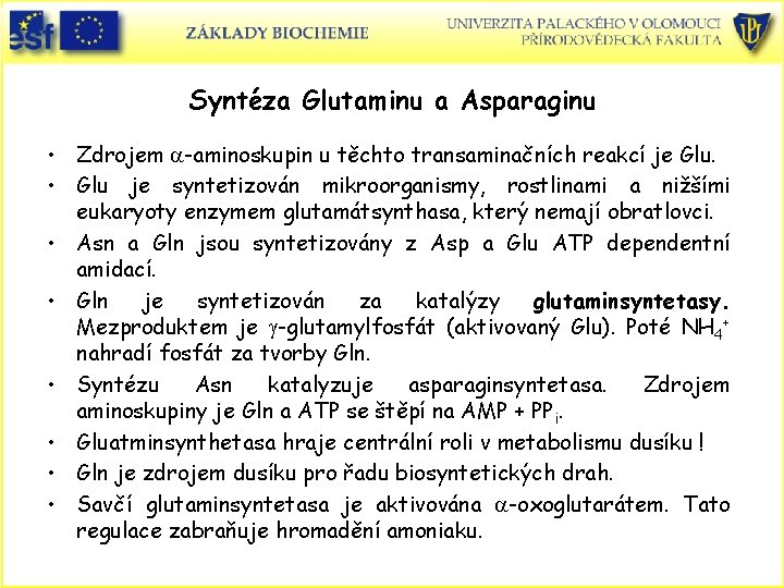 Syntéza Glutaminu a Asparaginu • Zdrojem a-aminoskupin u těchto transaminačních reakcí je Glu. •