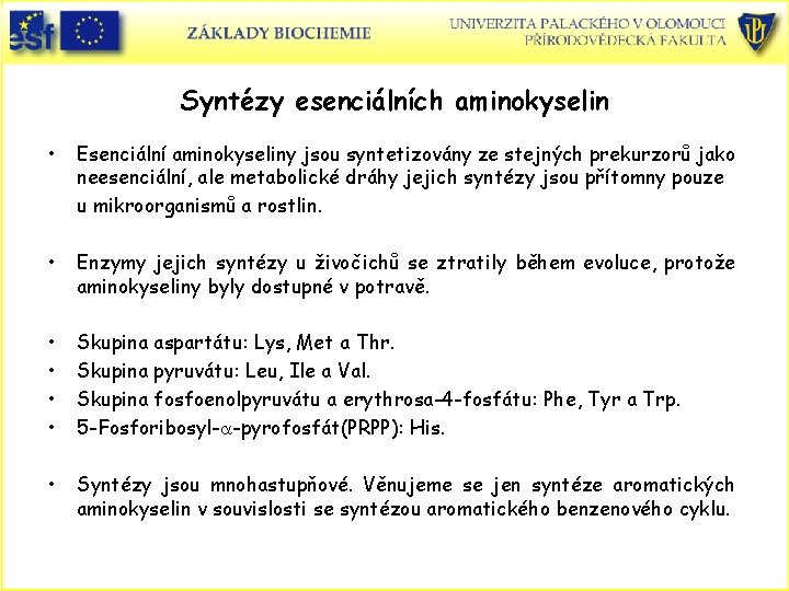 Syntézy esenciálních aminokyselin • Esenciální aminokyseliny jsou syntetizovány ze stejných prekurzorů jako neesenciální, ale