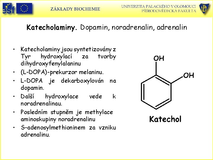 Katecholaminy. Dopamin, noradrenalin, adrenalin • Katecholaminy jsou syntetizovány z Tyr hydroxylací za tvorby dihydroxyfenylalaninu