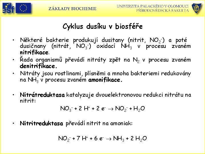 Cyklus dusíku v biosféře • Některé bakterie produkují dusitany (nitrit, NO 2 -) a