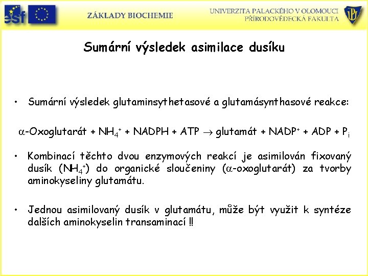 Sumární výsledek asimilace dusíku • Sumární výsledek glutaminsythetasové a glutamásynthasové reakce: a-Oxoglutarát + NH