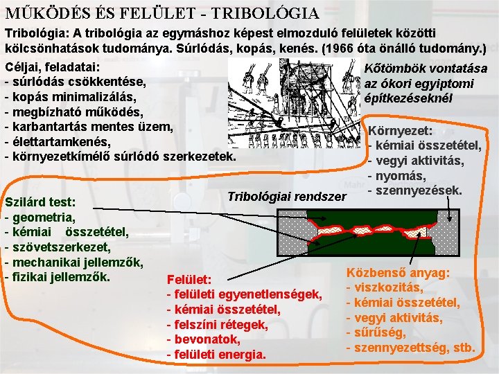 MŰKÖDÉS ÉS FELÜLET - TRIBOLÓGIA Tribológia: A tribológia az egymáshoz képest elmozduló felületek közötti