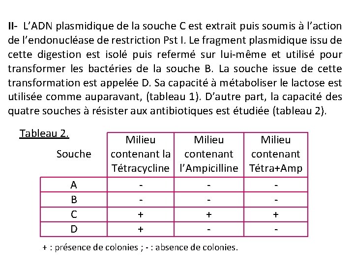 II- L’ADN plasmidique de la souche C est extrait puis soumis à l’action de