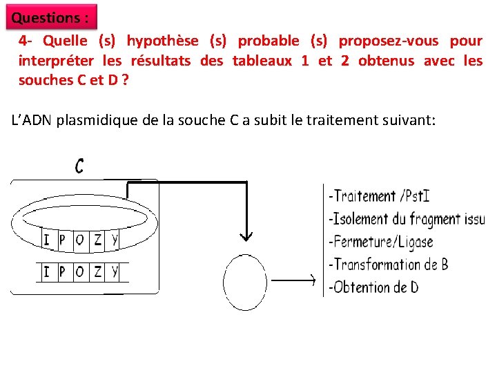 Questions : 4 - Quelle (s) hypothèse (s) probable (s) proposez-vous pour interpréter les