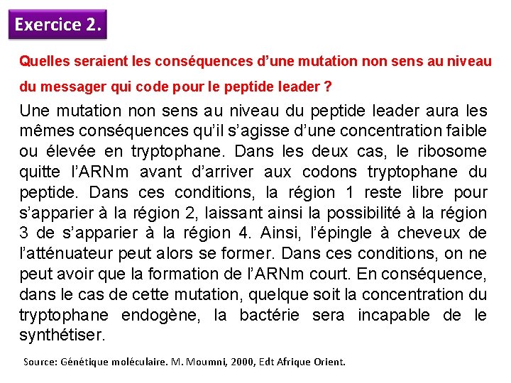 Exercice 2. Quelles seraient les conséquences d’une mutation non sens au niveau du messager