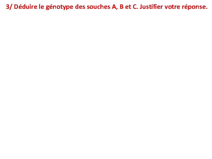 3/ Déduire le génotype des souches A, B et C. Justifier votre réponse. 