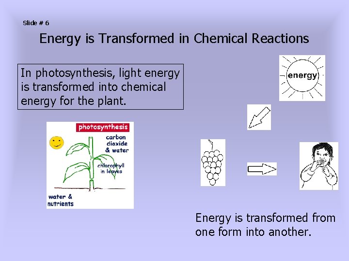 Slide # 6 Energy is Transformed in Chemical Reactions In photosynthesis, light energy is