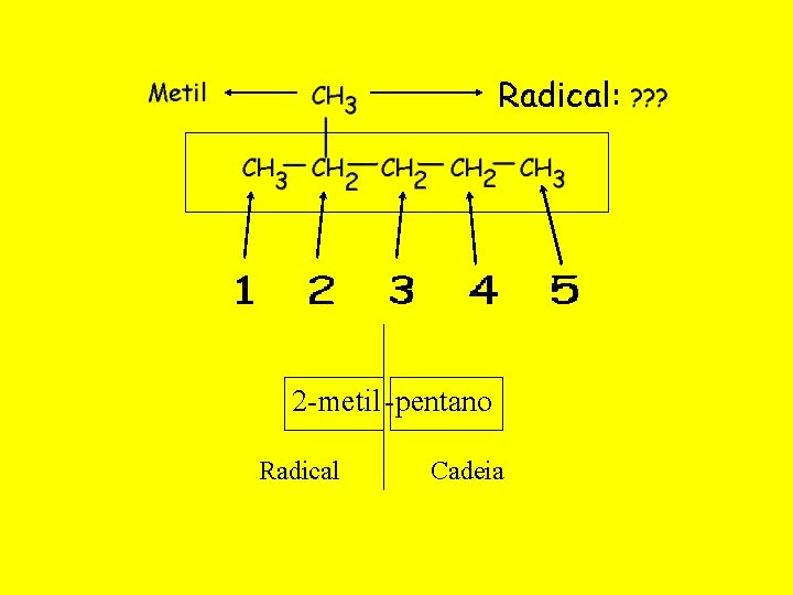 2 -metil -pentano Radical Cadeia 