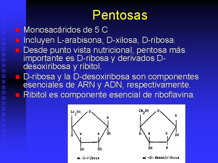 Pentosas n n n Monosacáridos de 5 C Incluyen L-arabisona, D-xilosa, D-ribosa. Desde punto
