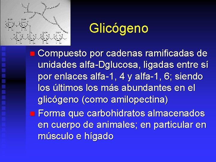 Glicógeno Compuesto por cadenas ramificadas de unidades alfa-Dglucosa, ligadas entre sí por enlaces alfa-1,