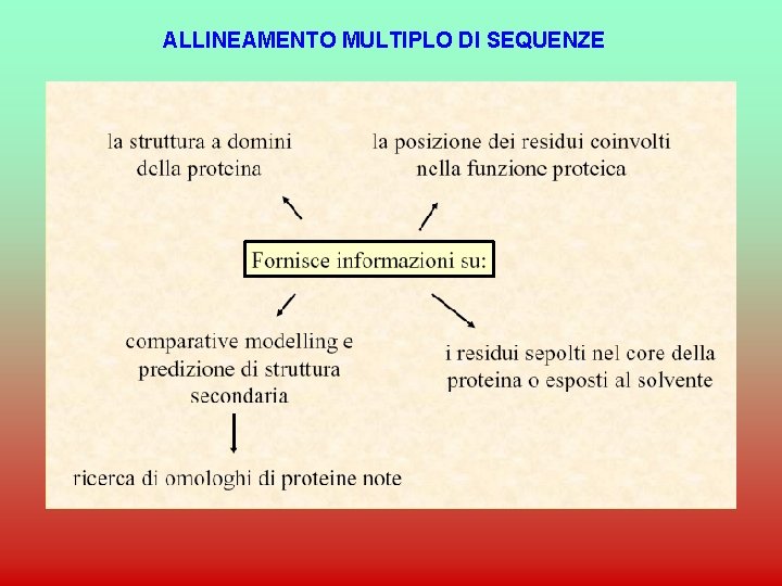 ALLINEAMENTO MULTIPLO DI SEQUENZE 